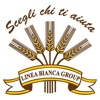 LINEA BIANCA GROUP