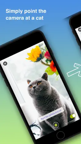 Game screenshot Cat Identifier - Kitty Scanner mod apk