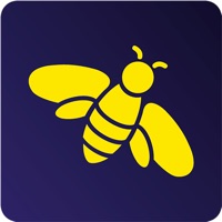BeeVora : social sports gaming pour PC