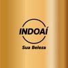 IndoAí Artista