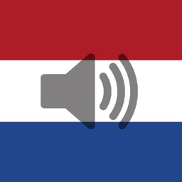 Dutch Phrasebook (Travel)