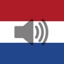 Get Dutch Phrasebook (Travel) for iOS, iPhone, iPad Aso Report