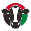 Italian Dairy