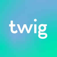 Twig - Your Bank of Things Reviews