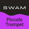 SWAM Piccolo Trumpet - Audio Modeling