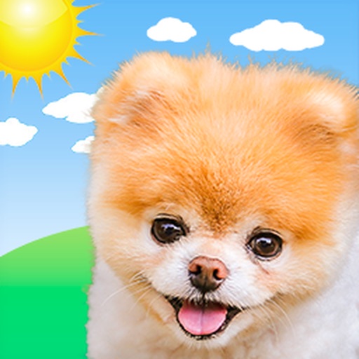 Boo Weather: Pomeranian Puppy Icon
