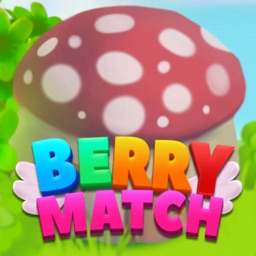 Boom Berry Match