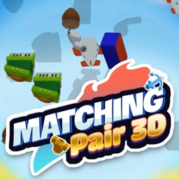 Matching Pair 3D