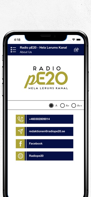 Radio pE20 - Hela Lerums Kanal(圖4)-速報App