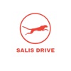 Salis Drive: Driver
