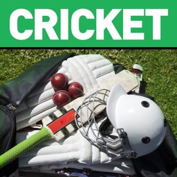 Cricket Summer Guide