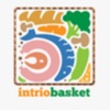 IntrioBasket