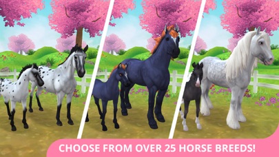 Star Stable: Horses screenshot 4