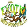 Exotic Bird Hospital Inc.