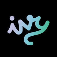 Ivy Professional Video Editor Erfahrungen und Bewertung