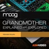 Moog Grandmother Course By AV