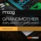 The Grandmother is a powerful 2-oscillator monophonic semi-modular analog synth from Moog