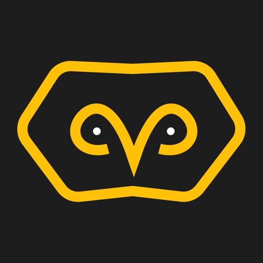 Ask Owl – AI Chatbot Assistant iOS App