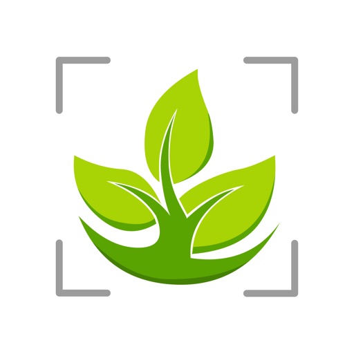 LeafSnap Tree identification Download