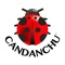 Are you looking for an unforgettable experience in Candanchú