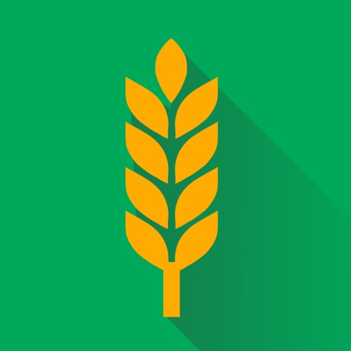 Moddus Download