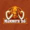 Mammoth is a software which facilitates instant sharing of info, social media, files, and more with just a touch