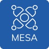 Mesa Business