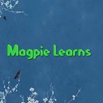 Magpie Learns