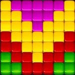 Toy Blocks- Blast Puzzle Games