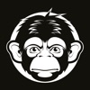 Monkey -  Food and drink deals
