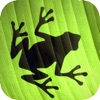 Jumping Frog Strategy