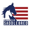 American Saddlebred