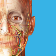 Atlas de anatomía humana 2023