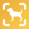 Dog Scan - Breed Identifier - Arthur Eduardo Skaetta Alvarez Desenvolvimento de Software LTDA.