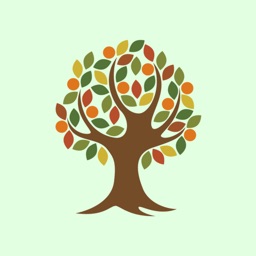 Tree of Life Church