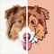 #1 Dog App to edit and build your very own pet avatar 