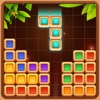 Block Wood Classic Puzzle