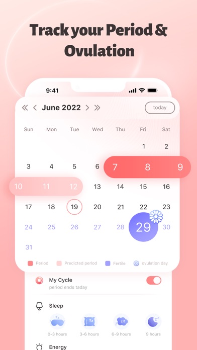 Mini Period Tracker - Calendar screenshot 3