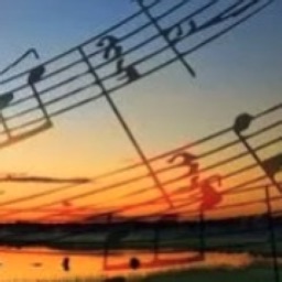 Sounds of nature