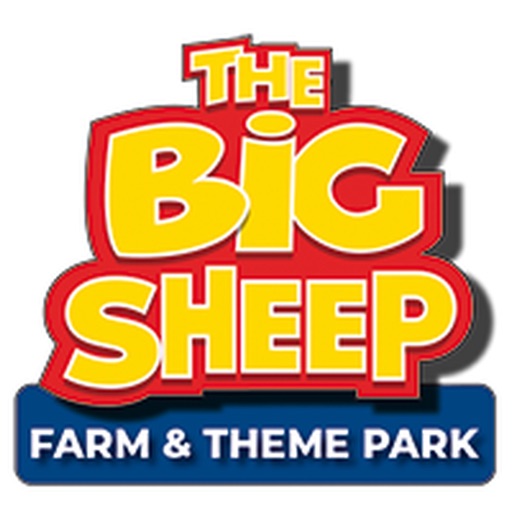 The Big Sheep