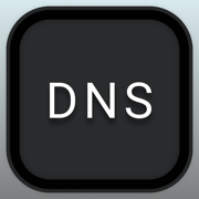 DNS Client