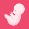 PregTracker: Pregnancy App