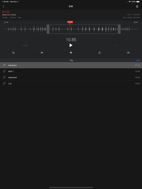 AVR X PRO - Voice Recorder screenshot 3