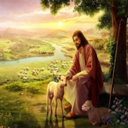 Lost Sheep of Christ