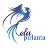 Ela Pırlanta App