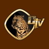 CheetahTV