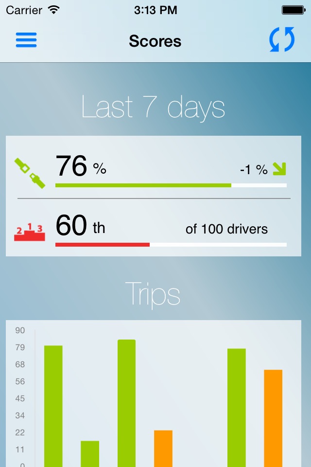 Drivexpert Mobile screenshot 2