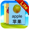 Chinese Flashcards Lite