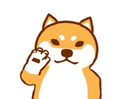 A Shiba Dog Animated Stickers