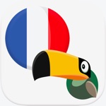 Frenchify - Learn French Now
